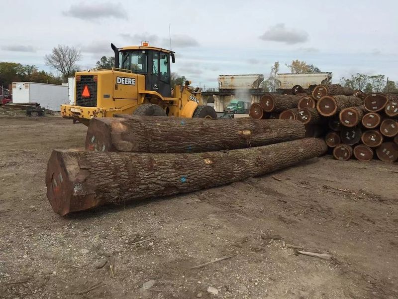 中国 Dongguan Yinghui Wood Industry Co., Ltd. 会社概要