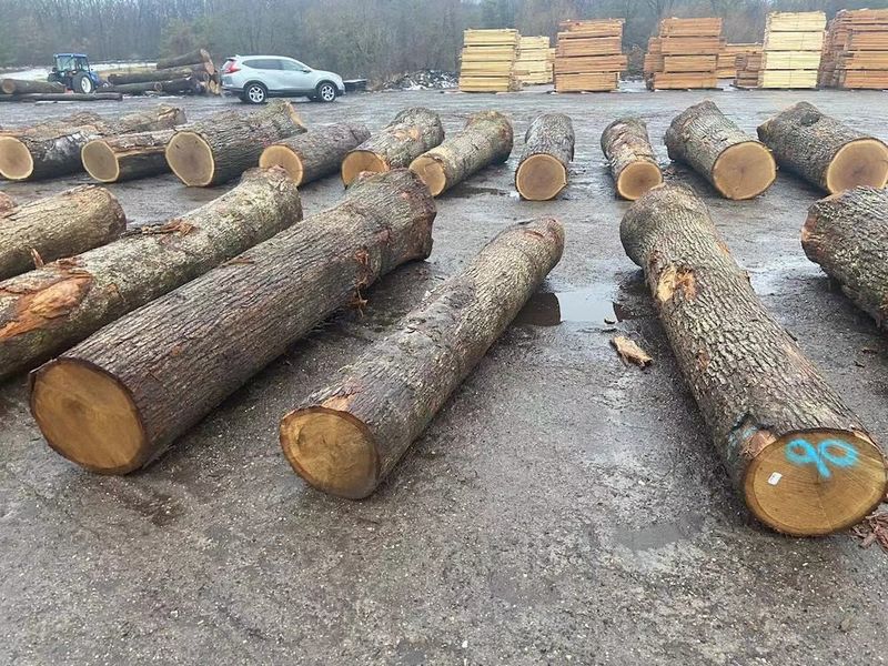 中国 Dongguan Yinghui Wood Industry Co., Ltd. 会社概要