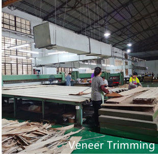 Dongguan Yinghui Wood Industry Co., Ltd. メーカー生産ライン